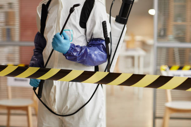 Professional Sewage Cleanup technician working in Ellison Bay, WI